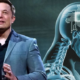 elon musk neuralink